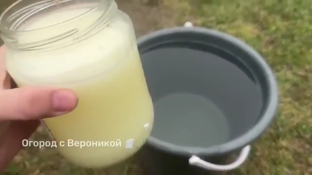 Как избавиться от сорняков без химии и прополки: мой проверенный рецепт
