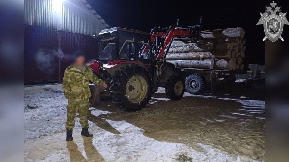 На Алтае работника пилорамы будут судить за случайное убийство коллеги бревном