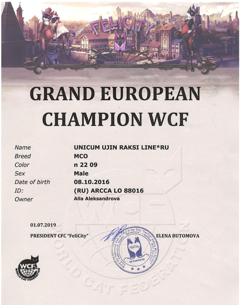 Grand European Champion WCF - UNICUM UJIN RAKSI LINE RU