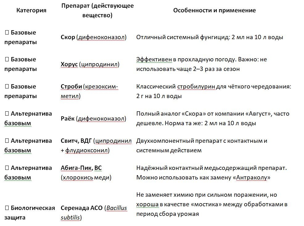 Таблица и фото Натальи Мироновой