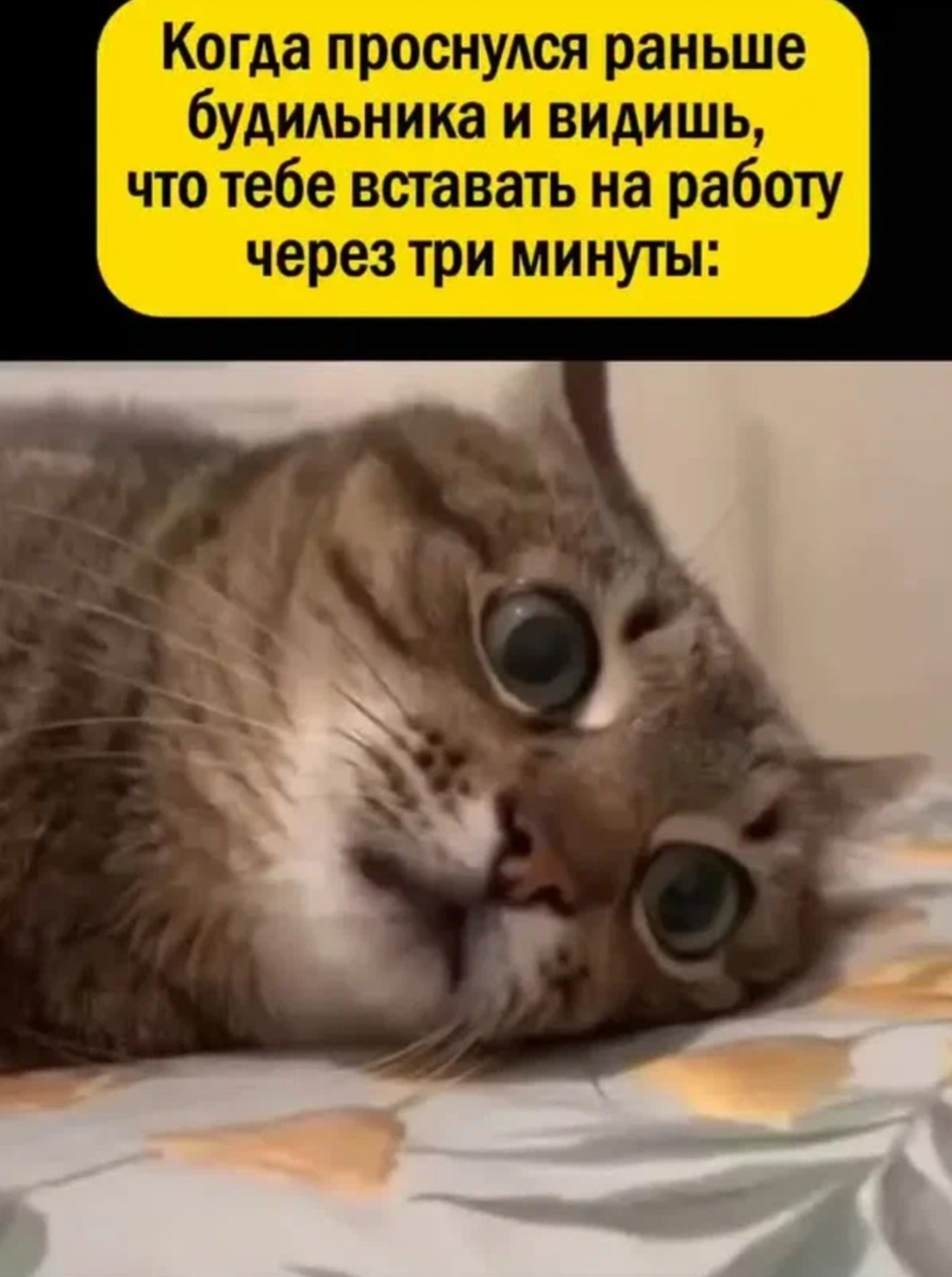 Рабочее утро,--взято из интернета с целью ознакомления. 