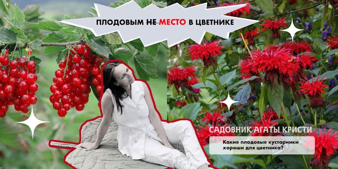 Плодовым НЕ МЕСТО в цветнике?