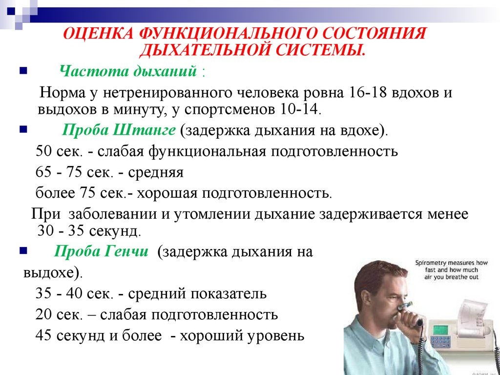 Фото Яндекс Картинки