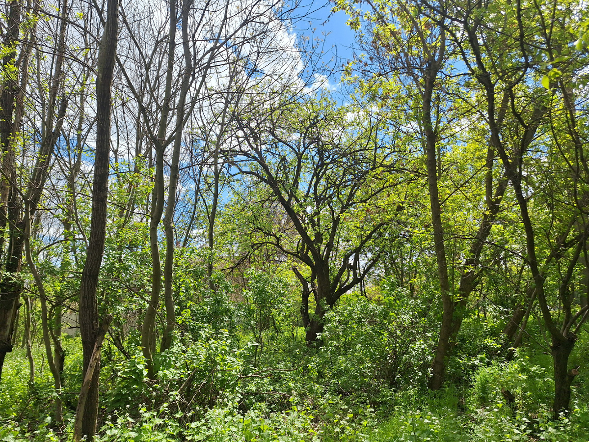 Фото автора.
