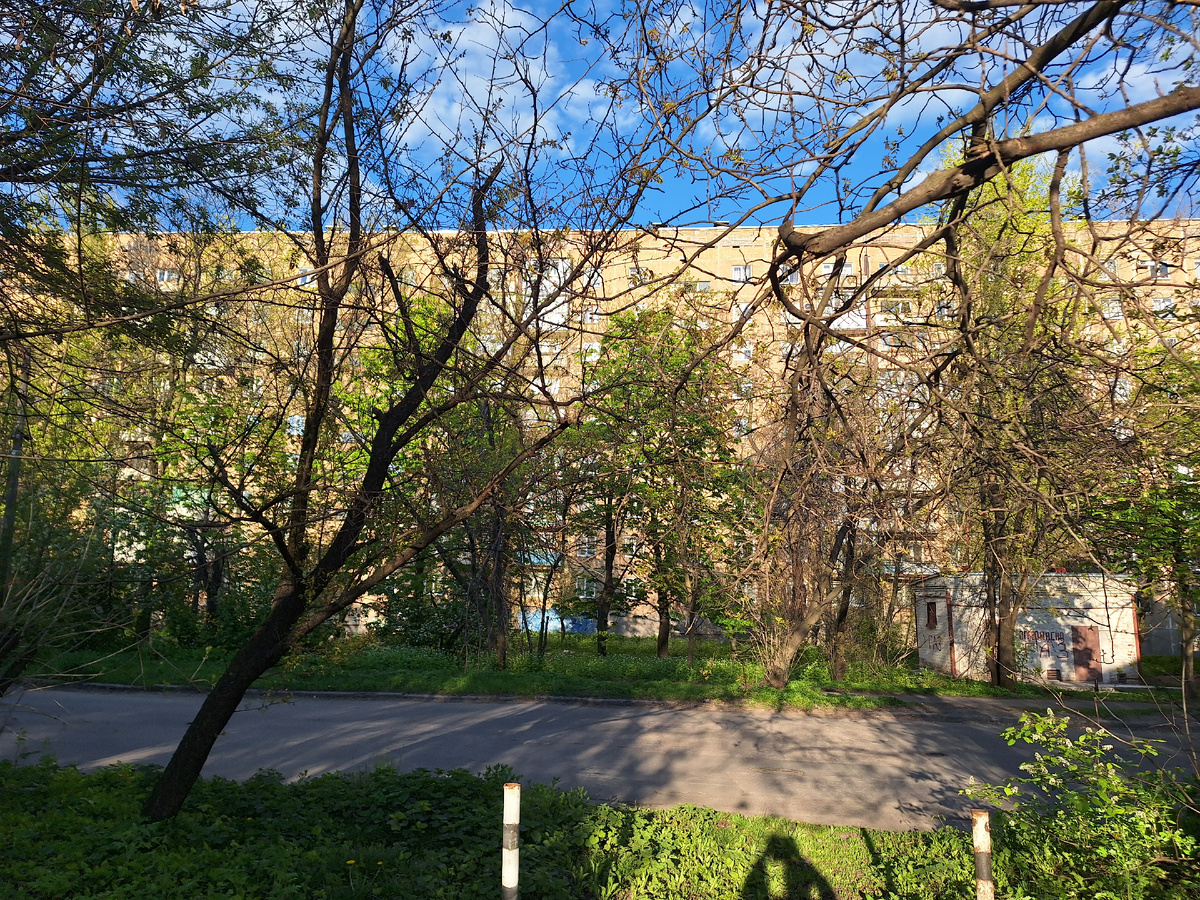 Фото автора.