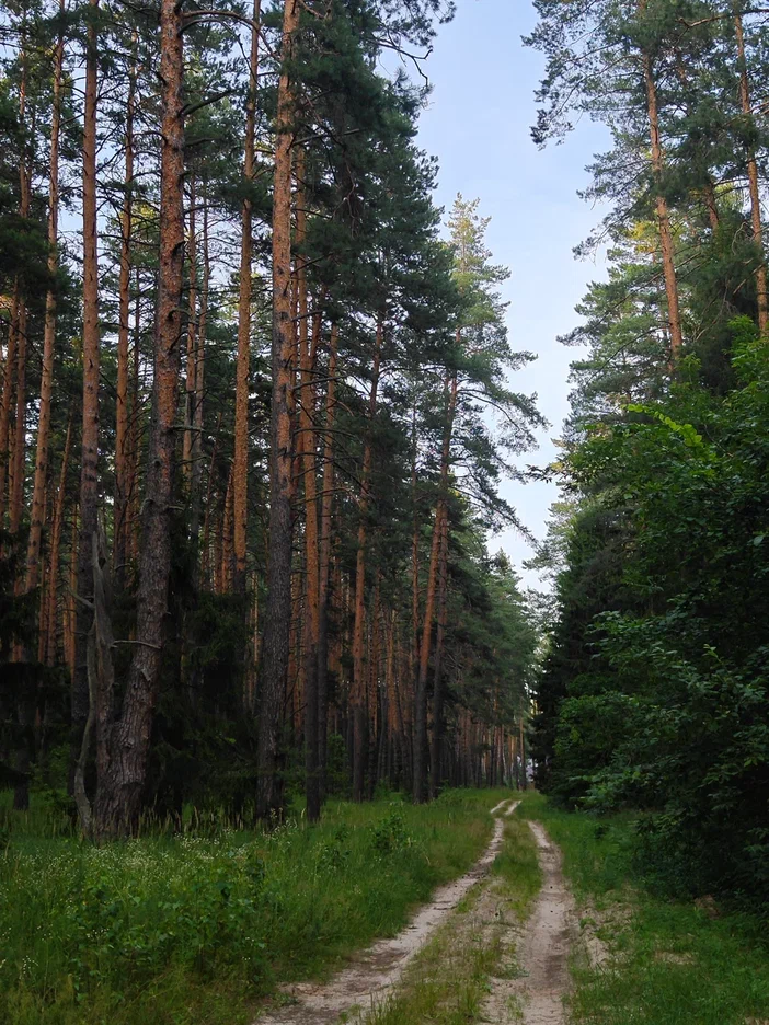 Фото: Оксана Аршинова