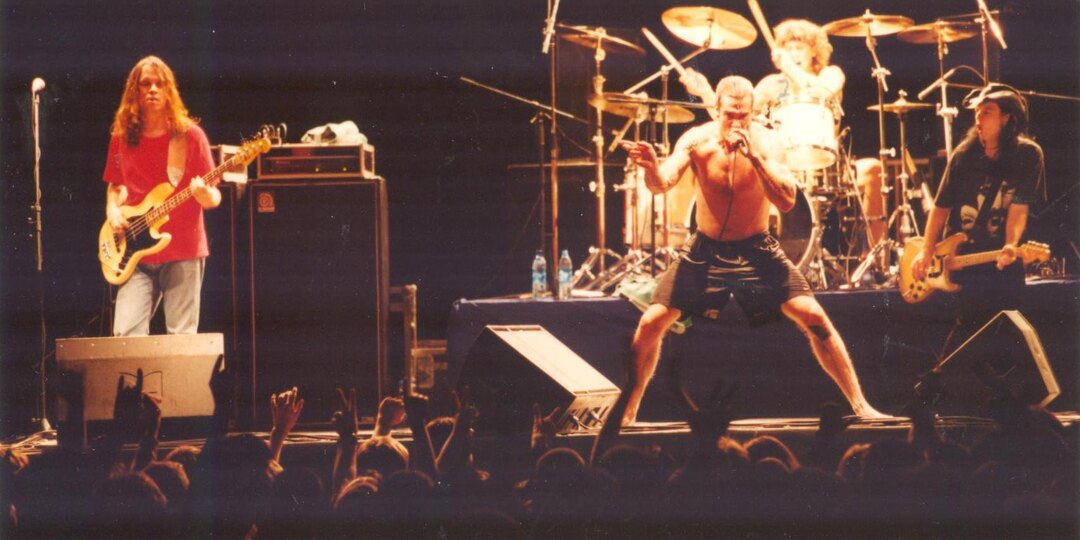 ROLLINS BAND: "NICE" (2001) (часть 5 - окончание)