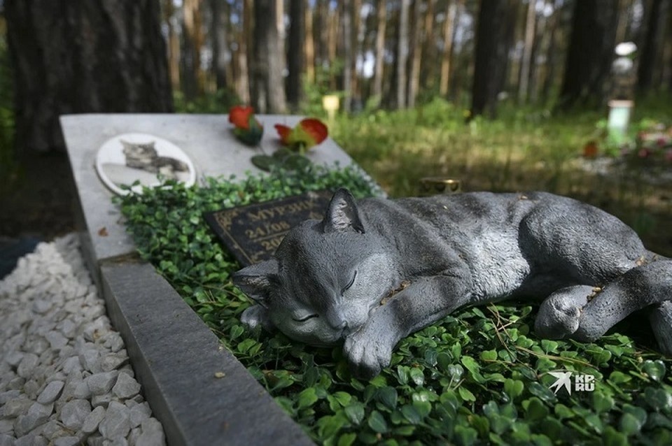    Сказали, как похоронить питомца законно в Беларуси. Фото носит иллюстративный характер. Алексей БУЛАТОВ