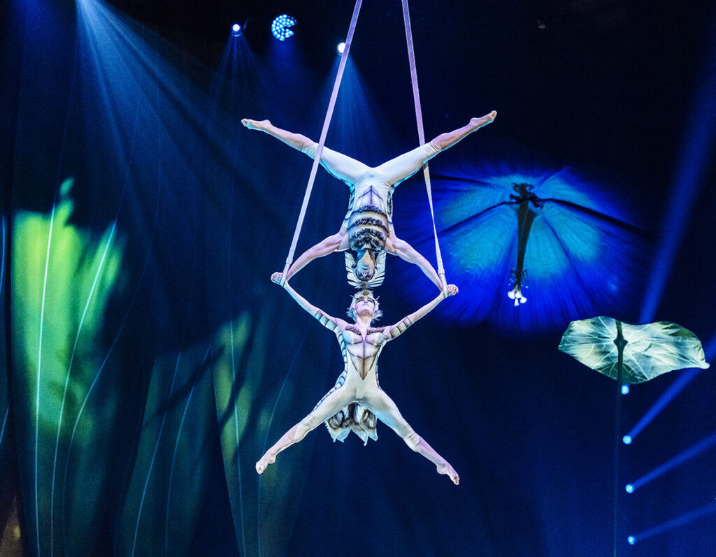 Шоу Cirque du Soleil OVO в Казахстане