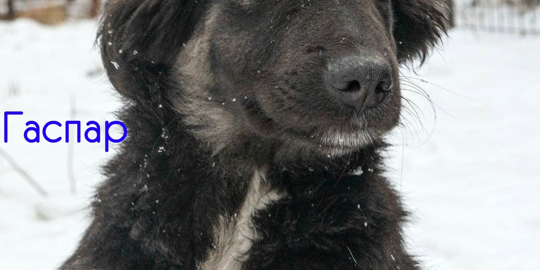Он родился у дверей гаража💔
