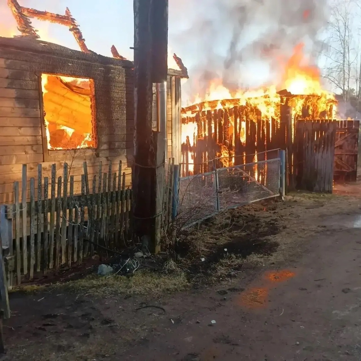    фото: Госкомитет Карелии по безопасности населения