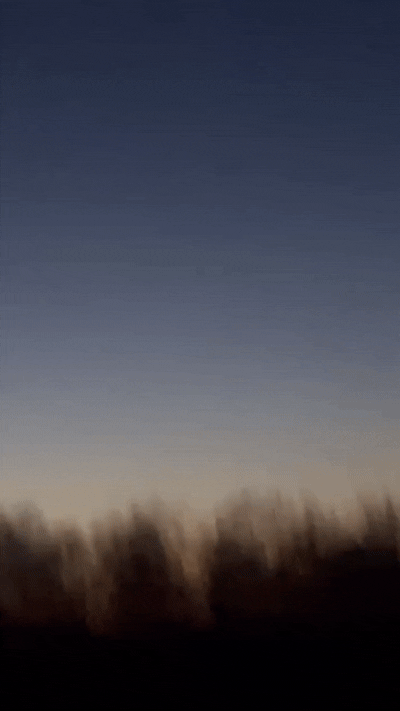    Видео: Военная хроника