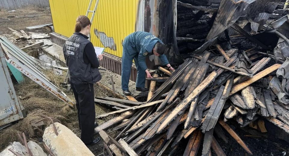 После гибели семьи в Мегионе возбуждено дело, Бастрыкин запросил отчет