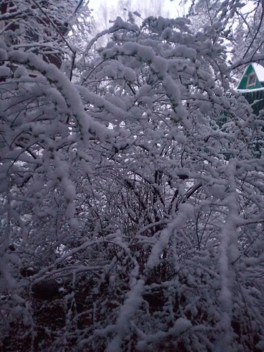 Последние дни апреля,