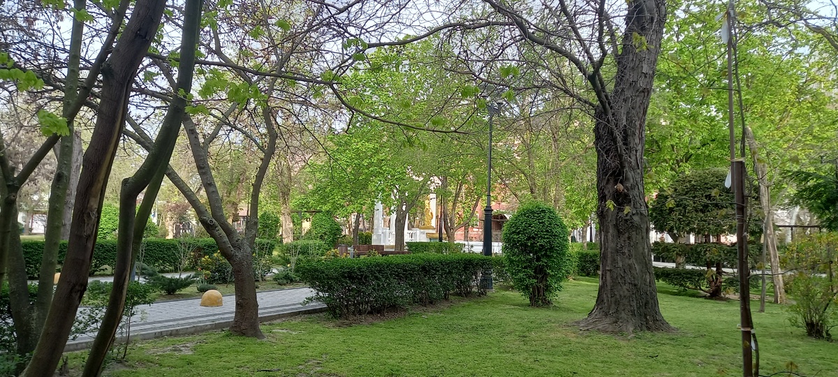 ЗеленаяФеодосия