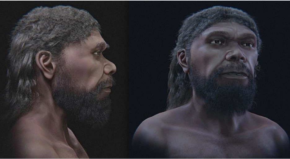 Первый представитель вида Homo sapiens имел смуглую кожу, поскольку происходил из Африки.