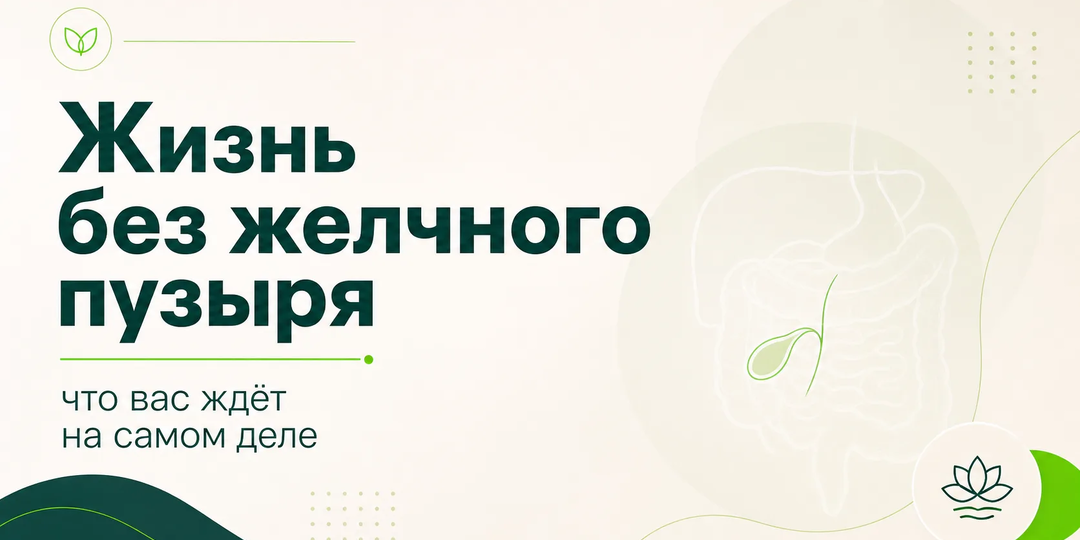 Жизнь без желчного пузыря: что вас ждёт на самом деле