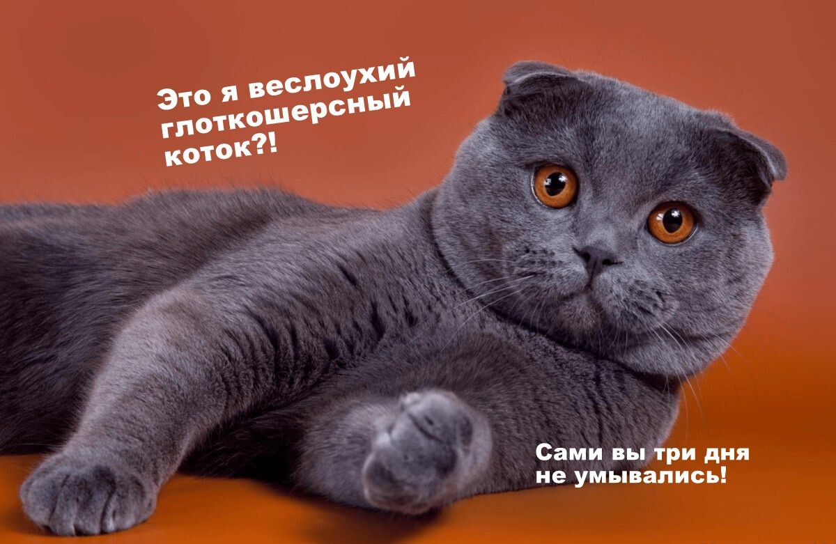 Коллаж на основе фото https://i.pinimg.com.