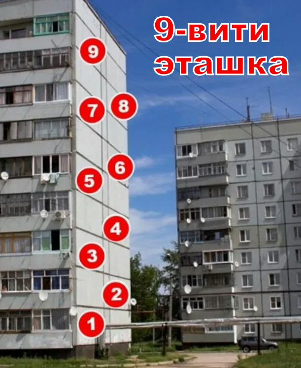 Коллаж на основе фото https://avatars.mds.yandex.net.