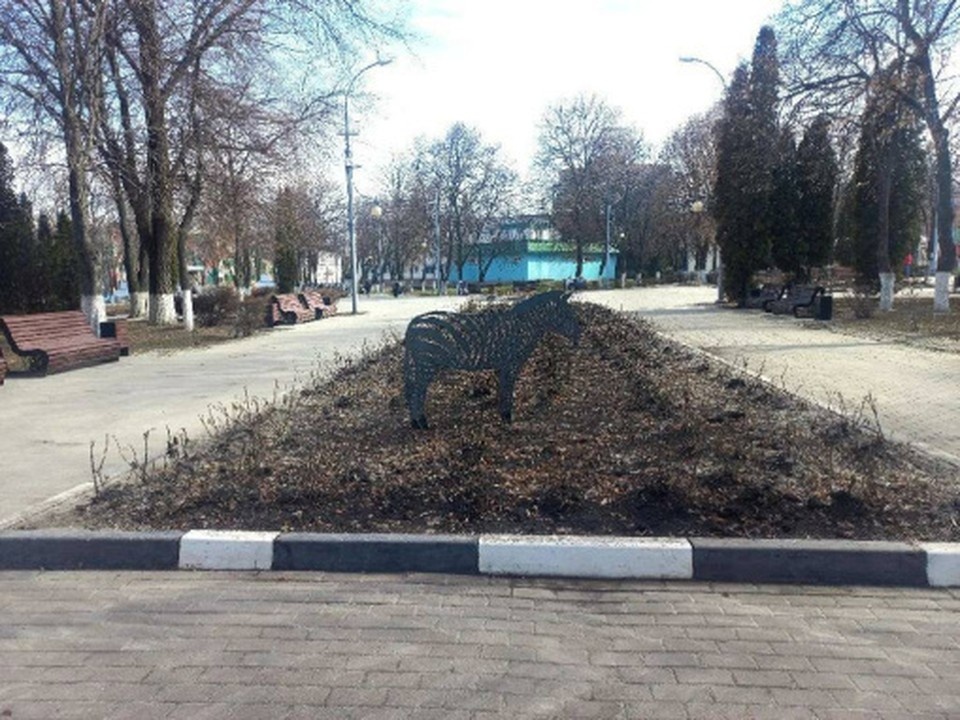    Фото правительства Белгородской области