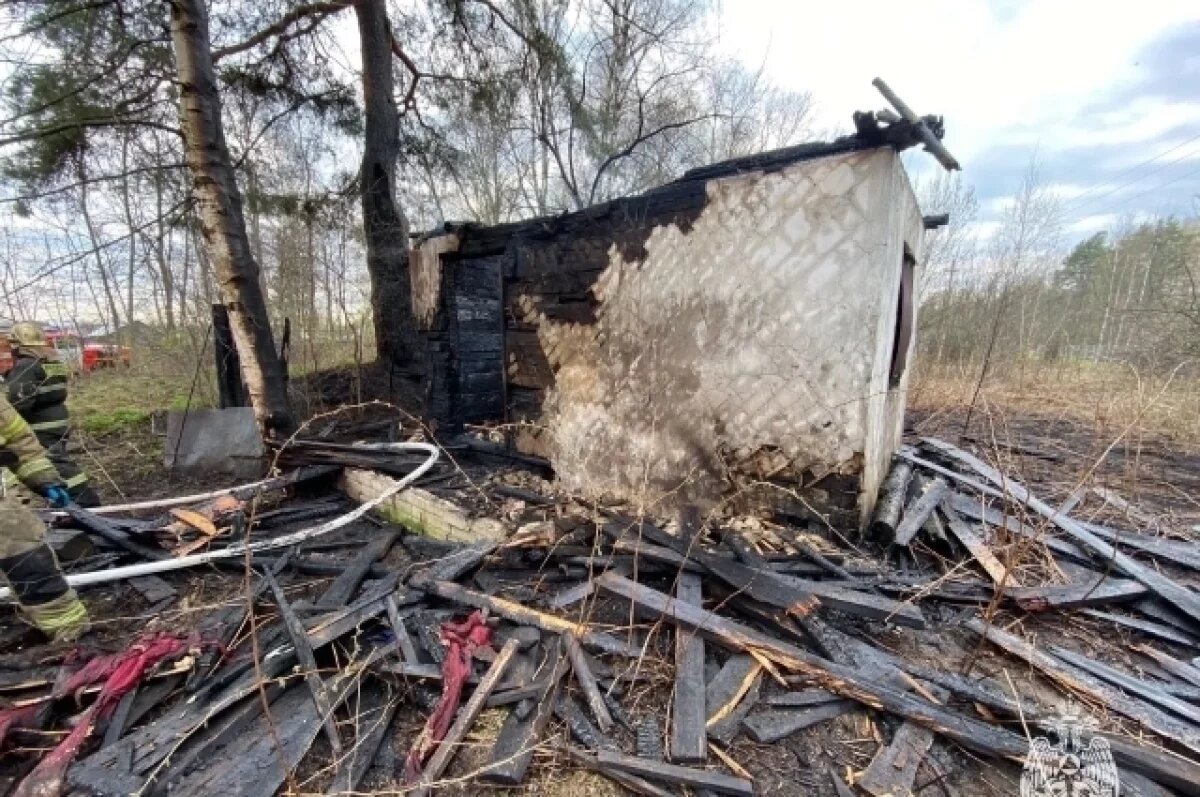    Поджигателя бесхозных строений разыскивают в Нижегородской области
