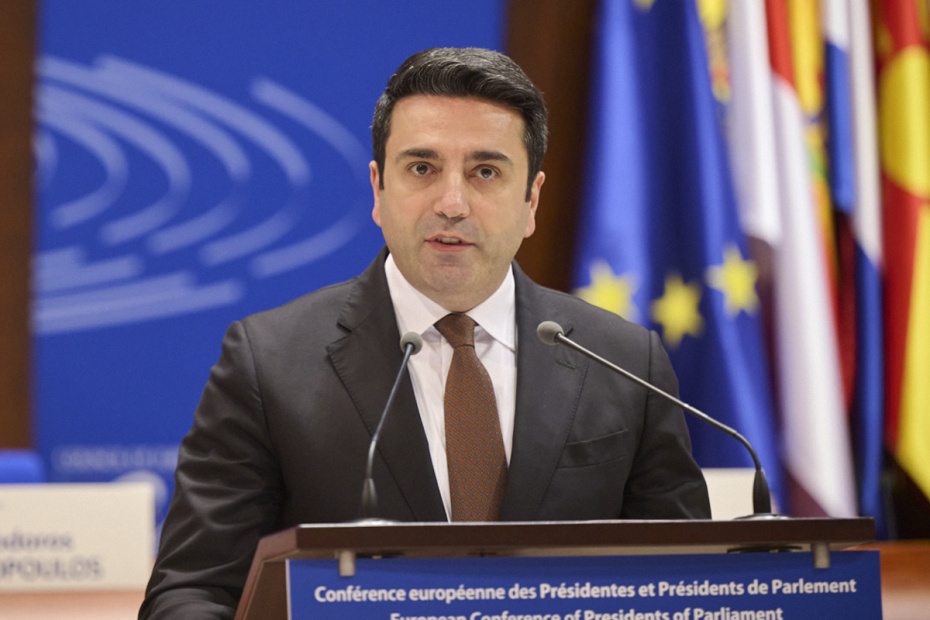    Council of Europe Parliamentary/via Globallookpress.com/Global Look Press