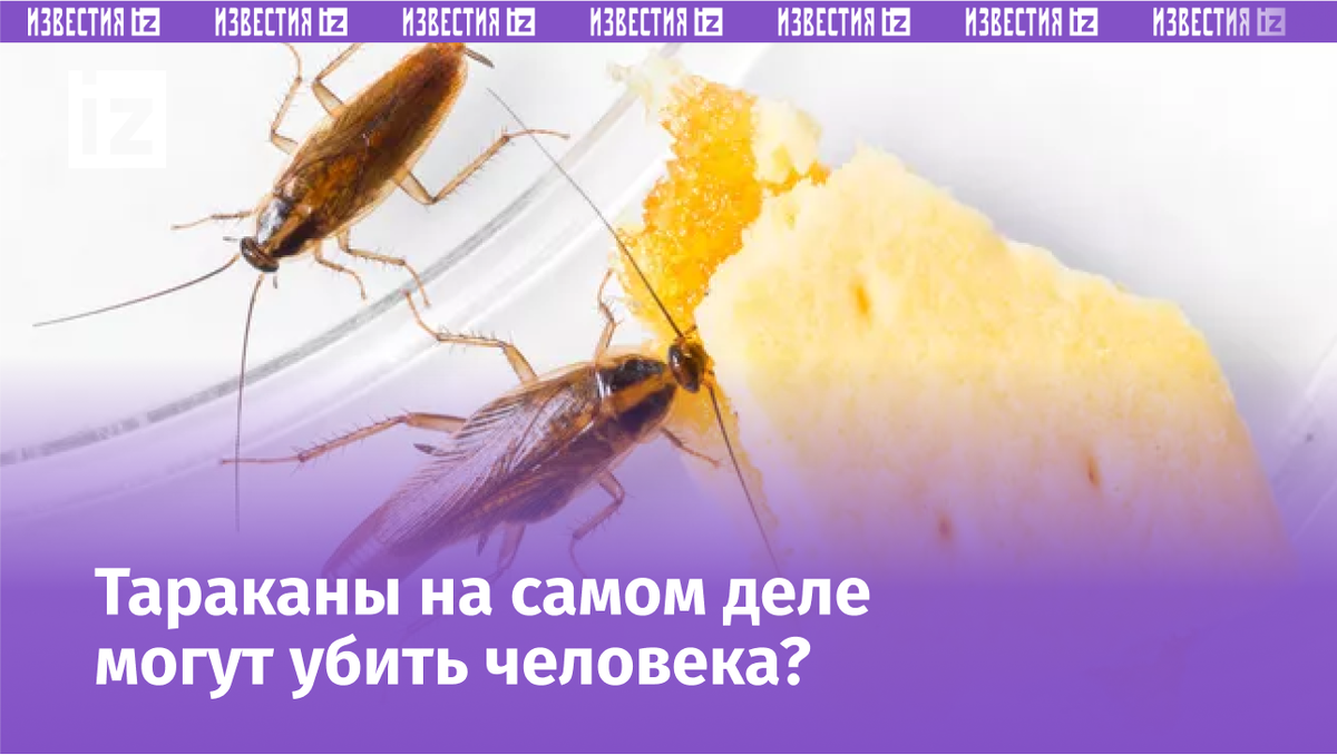 © Depositphotos.com / smuayc