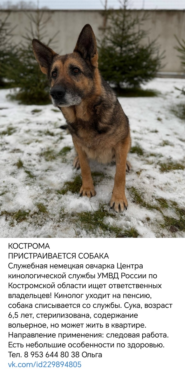 Пост о ней вк