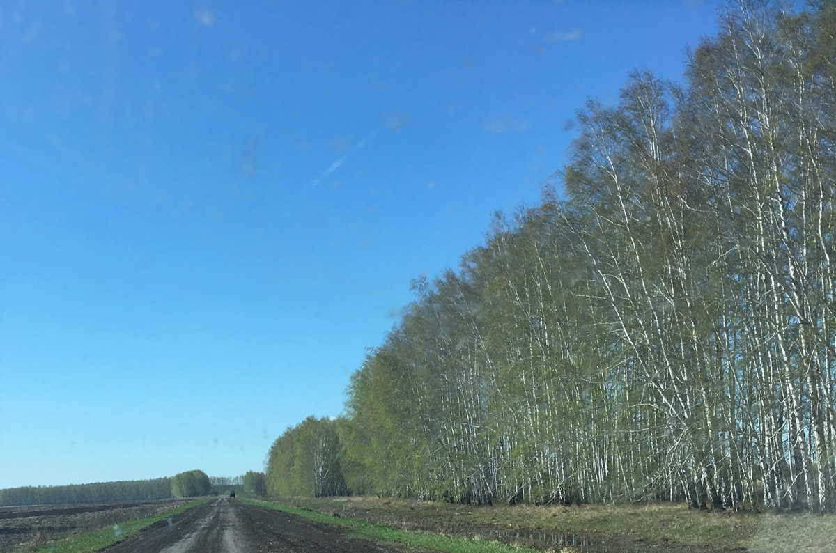 Люблю поездки и покупки