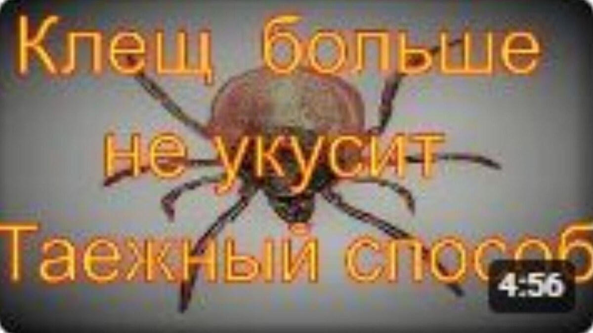 Энцефалитный Клещ ----- 🧭 ПАМЯТКА: КЛЕЩЕВОЙ ЭНЦЕФАЛИТ