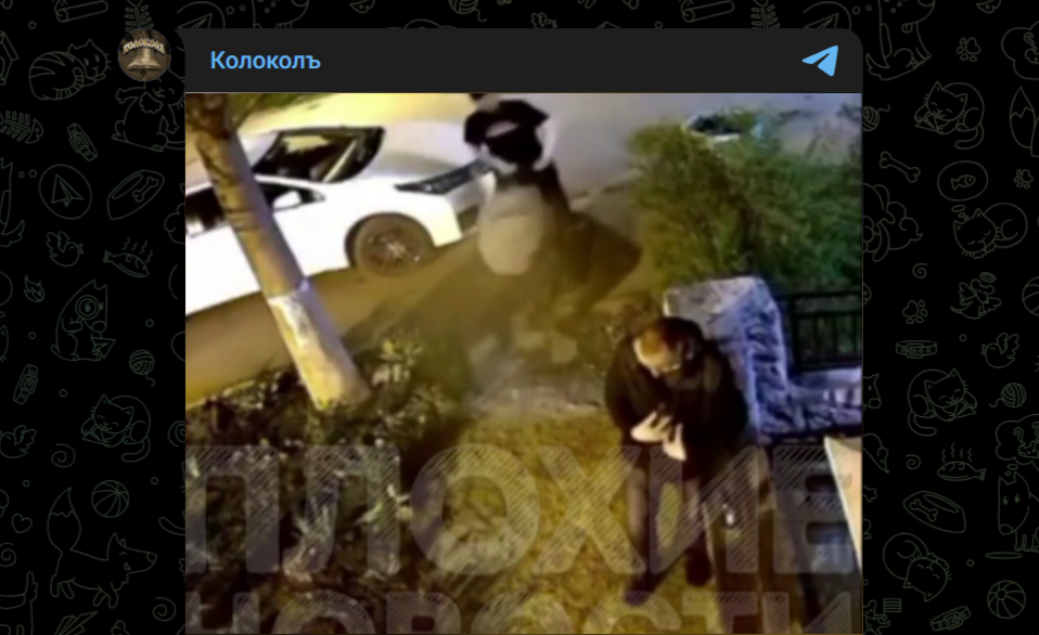 Фото: Telegram-канал "Колоколъ"