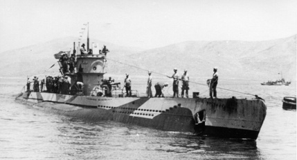 U-81