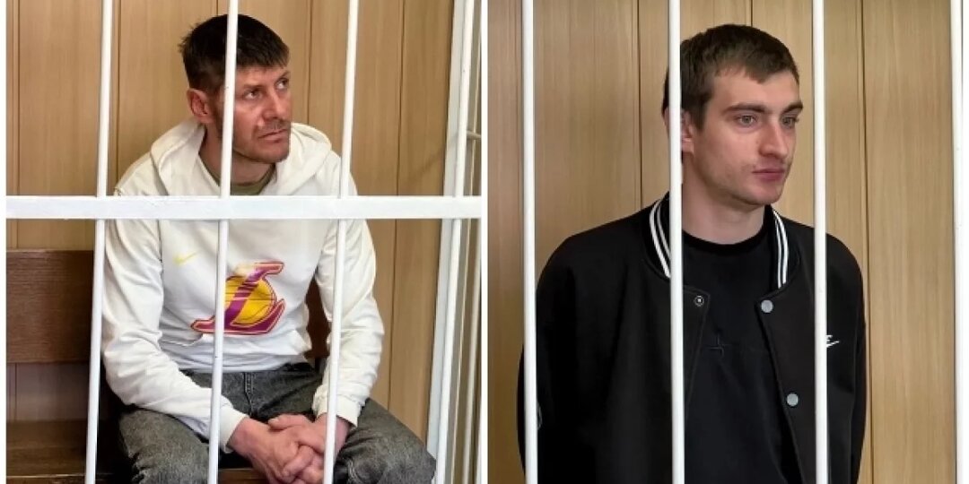 Били и забыли? Арестованы напавшие на зоозащитницу, умершую рядом с собаками