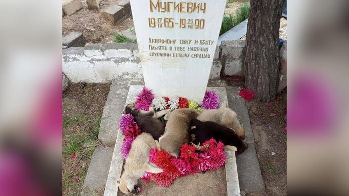 Обложка © Подъём