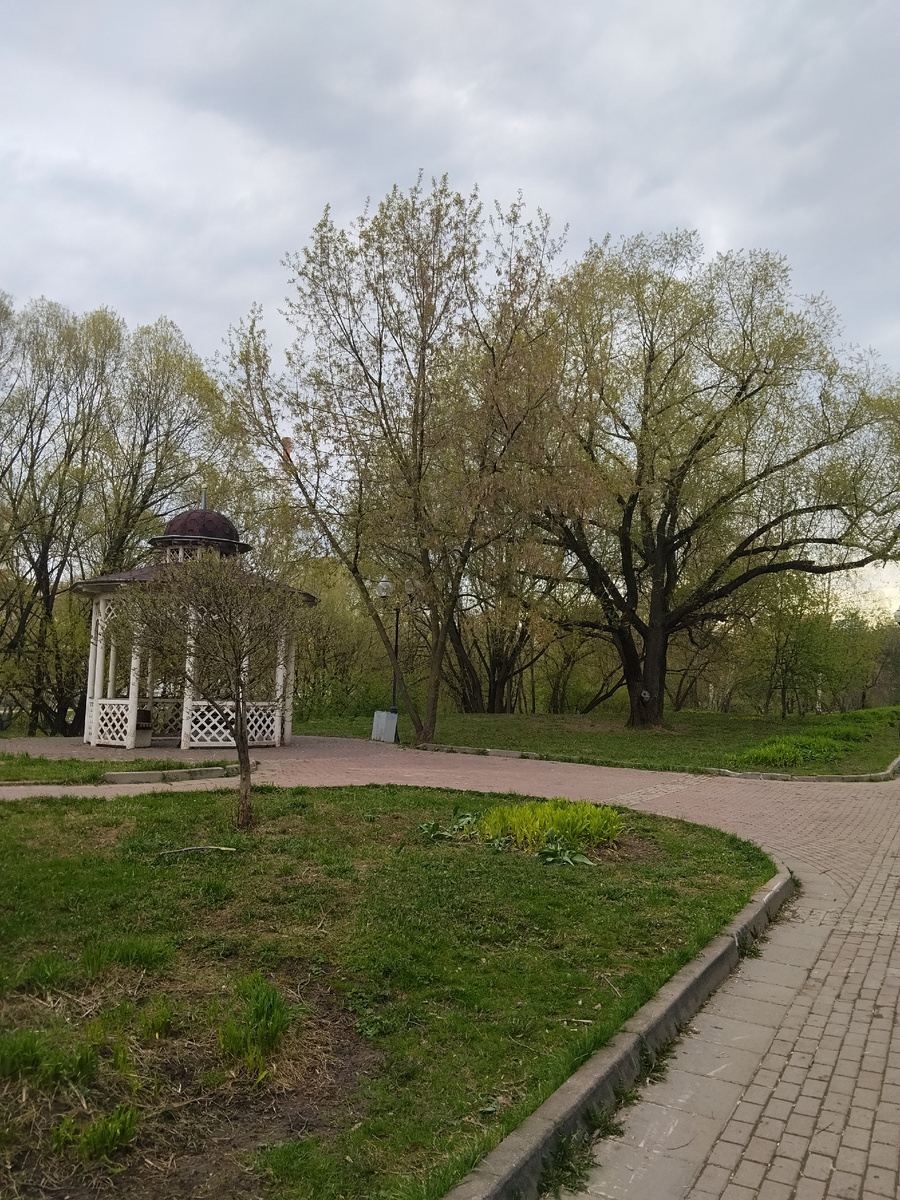 Фото автора