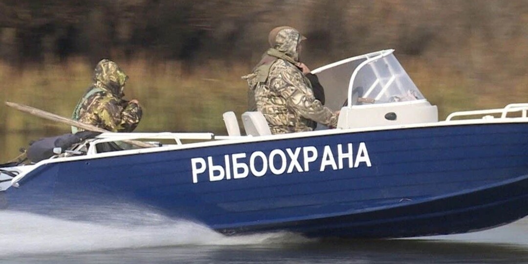 Может ли рыбнадзор досматривать автомобиль