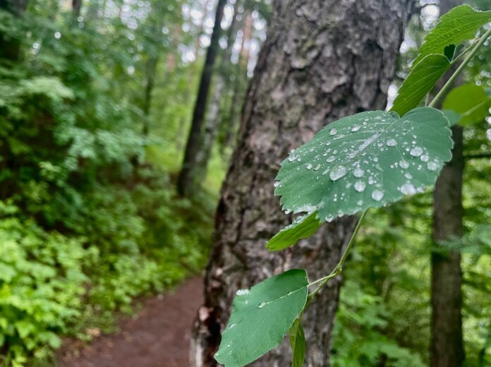    Фото: Алена Калашникова