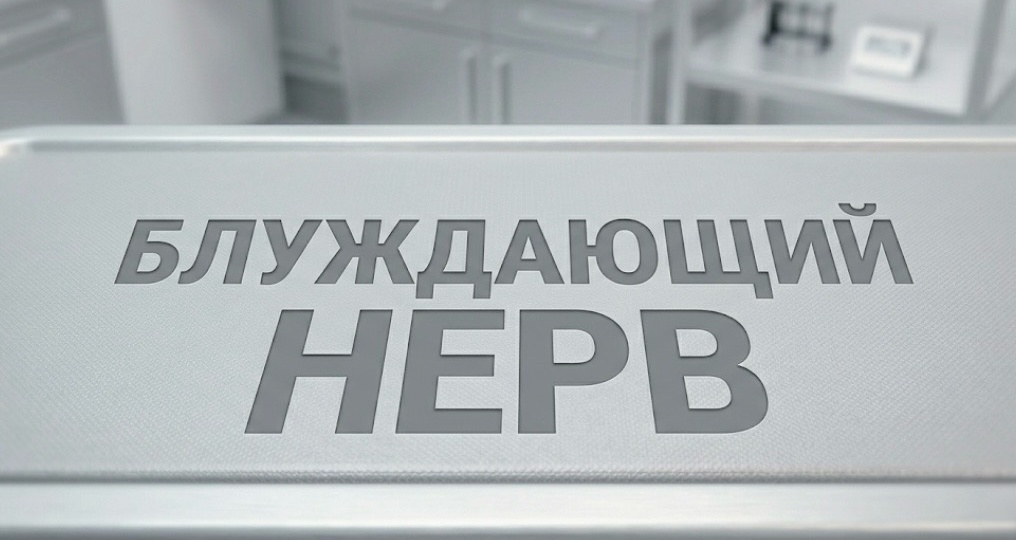 Блуждающий нерв: Твоя встроенная кнопка «антистресс»