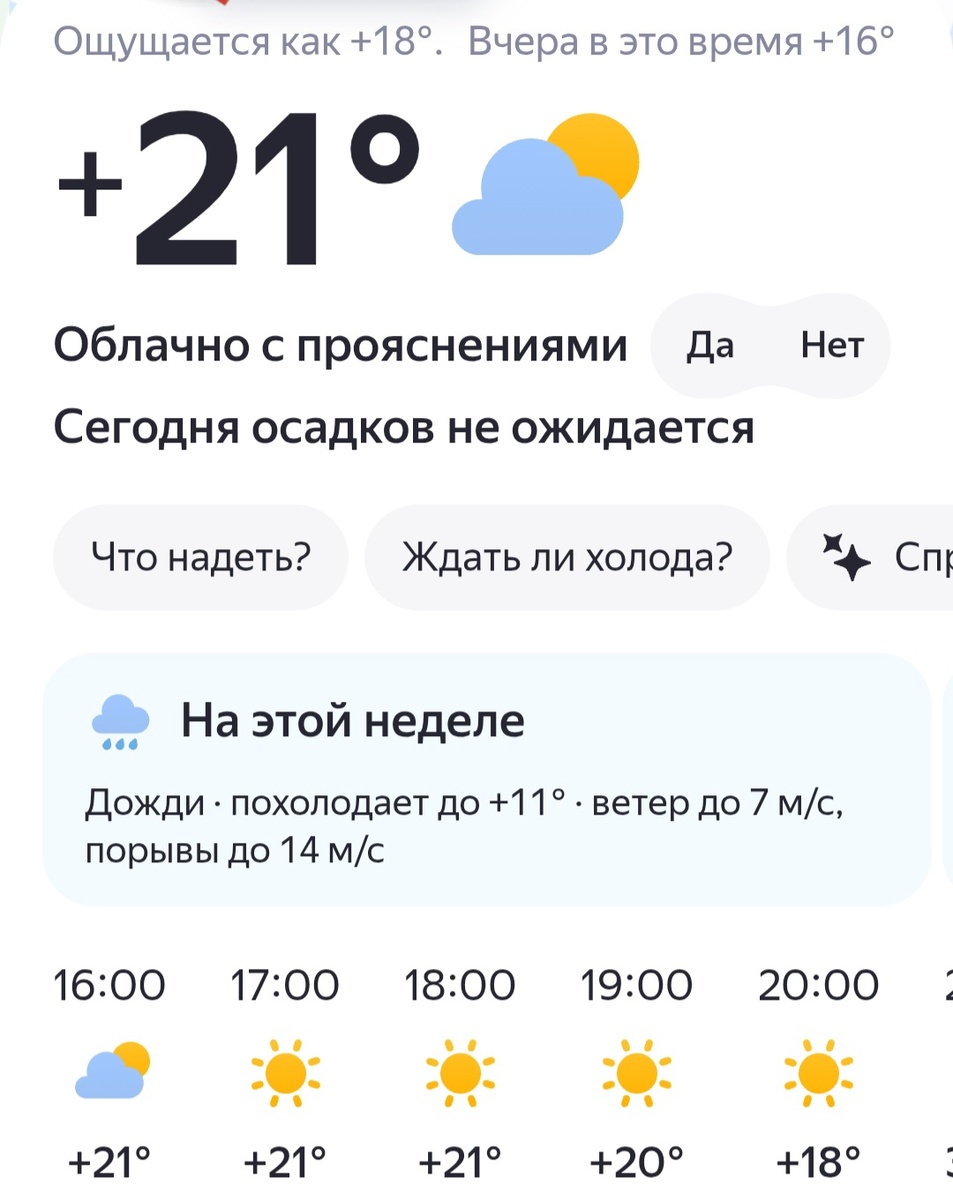 Жара . Скрин прогноза погоды