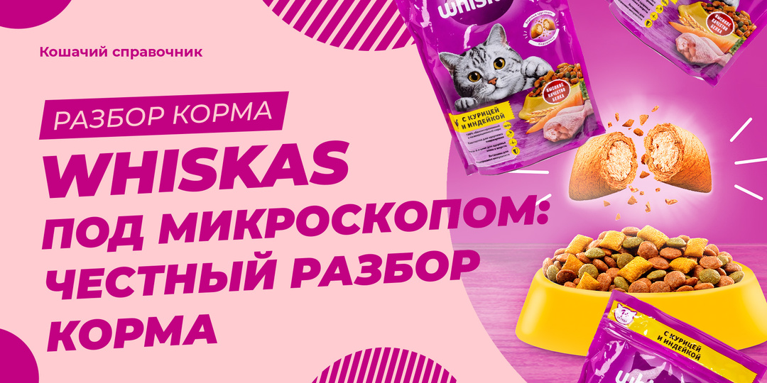 Whiskas под микроскопом: честный разбор корма, который покупает каждый третий