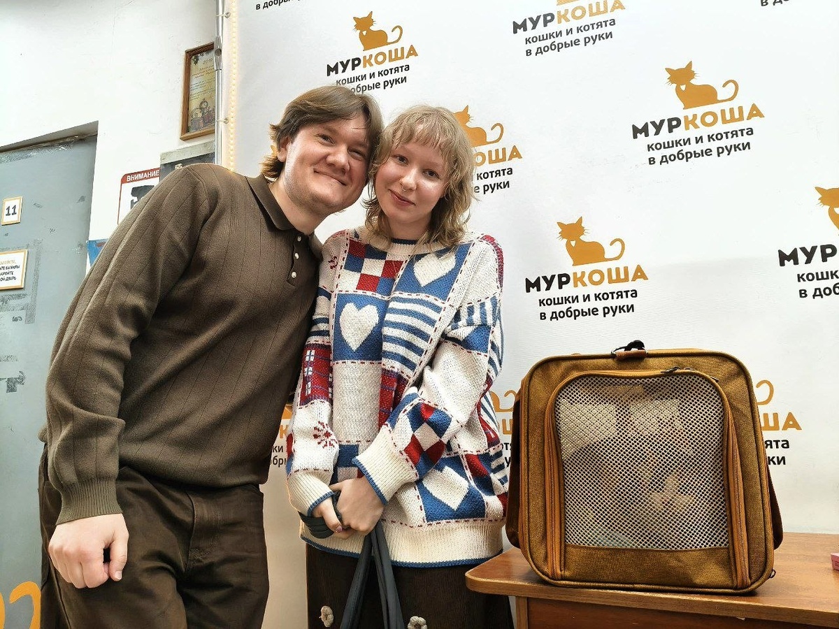 Милая семья забирает кошечку домой. 