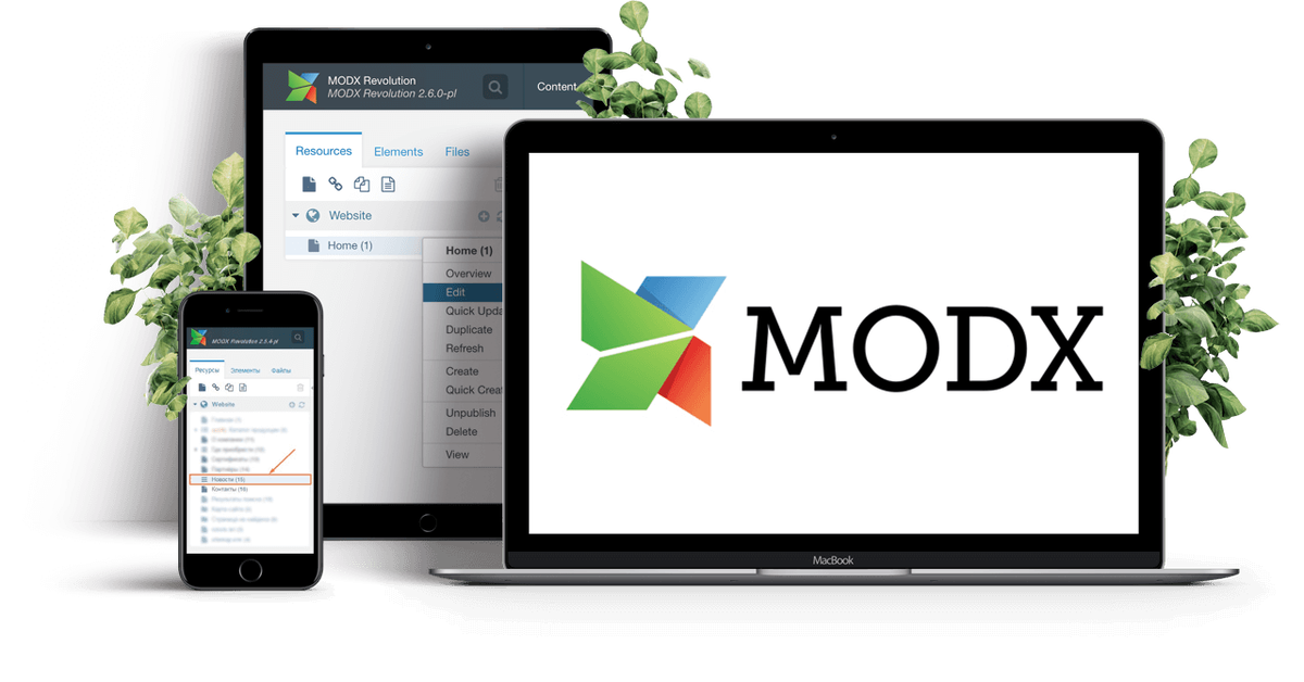 MODX
