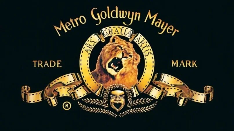 Источник: pinterest.com (Заставка со львом Metro Goldwyn Mayer)