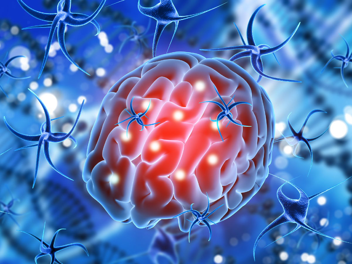 https://www.magnific.com/ru/free-photo/3d-render-medical-background-with-brain-being-attacked-by-virus-cells_1219490.htm#fromView=search&page=1&position=11&uuid=d21f71cf-3922-4620-8ce9-f008bdab2eeb&query=Глицин+и+его+действие+на+мозг+и+нервы