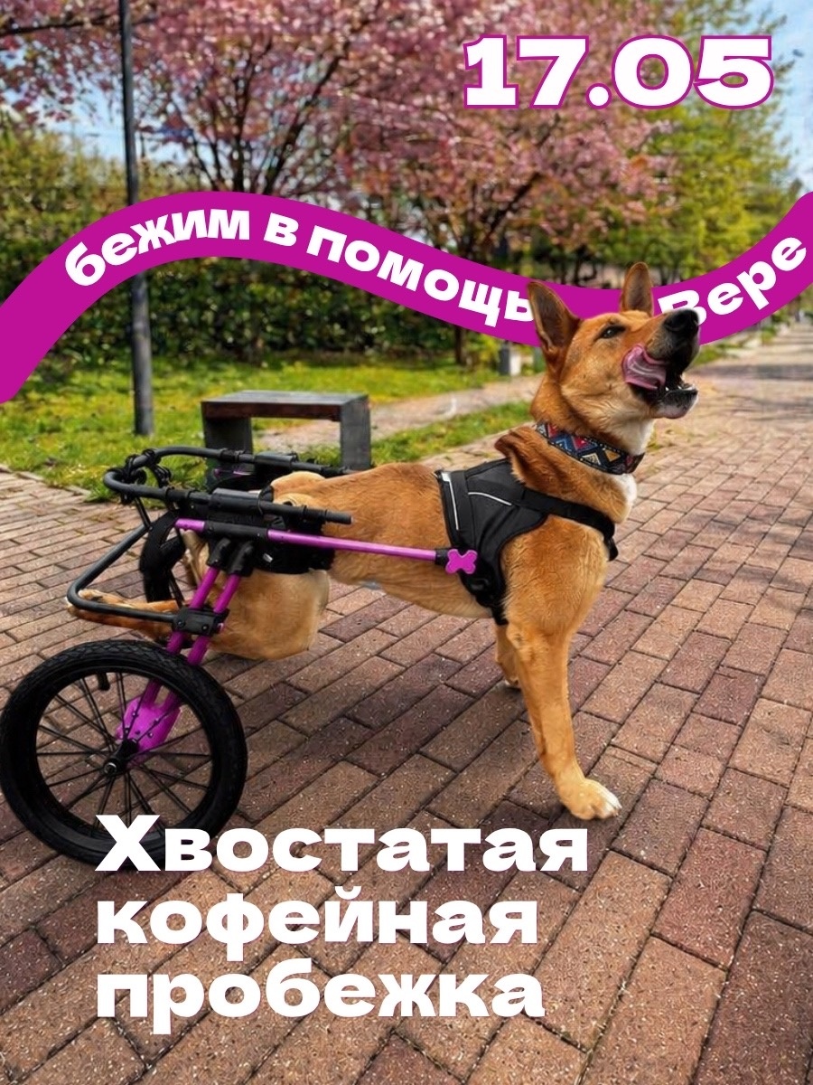 Больше всего Верочка любит бегать и дурачиться