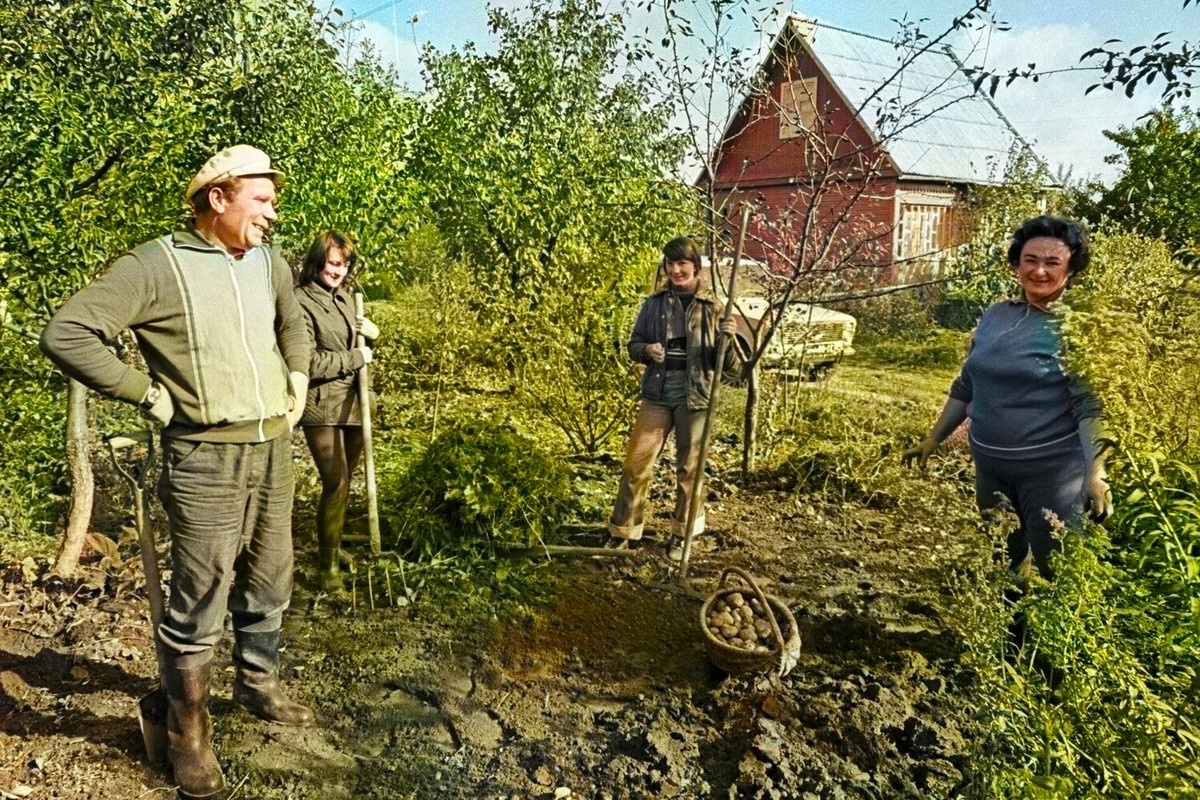 Источник фото: Яндекс картинки