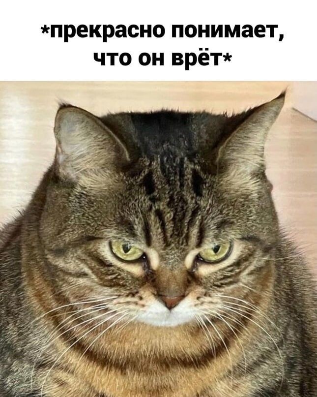 Из открытых источников