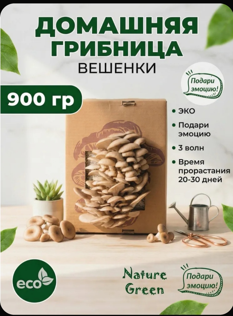 Набор для выращивания вешенки