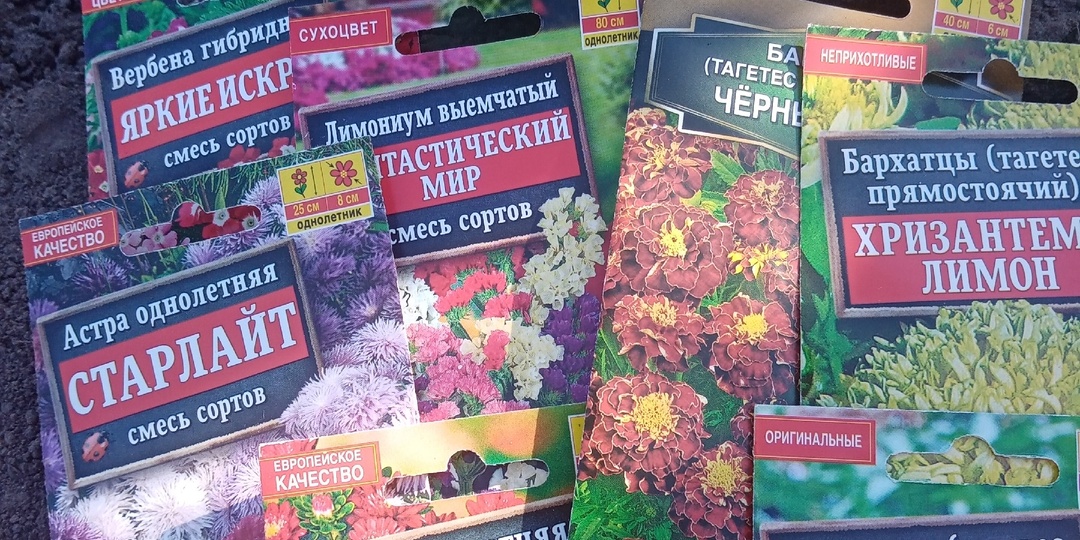 5 садовых экспериментов этой весны: что сработало, а что – нет