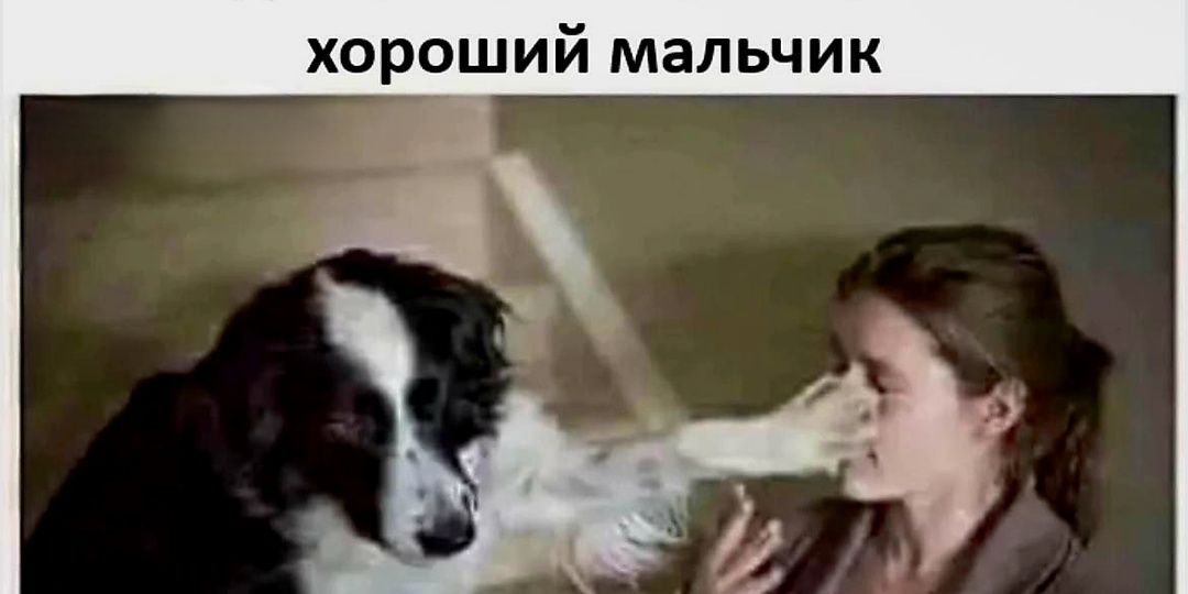 25 картинок с ноткой беззаботного веселья. Смешные мемы до слез за 7.05.2026 год